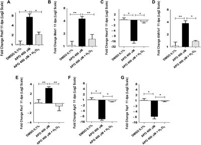 Post-amputation reactive oxygen species production is necessary for axolotls limb regeneration